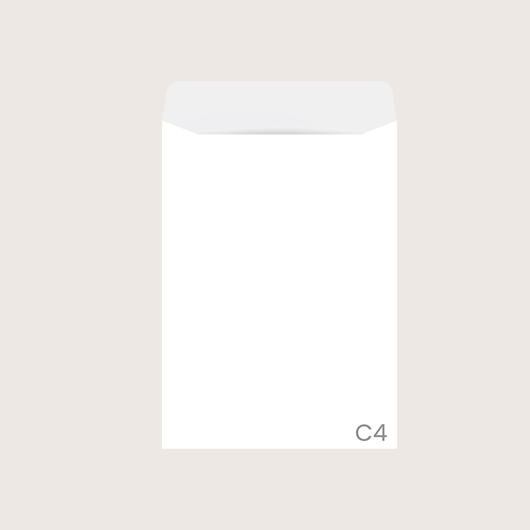 802656C4 plain envelope02.png